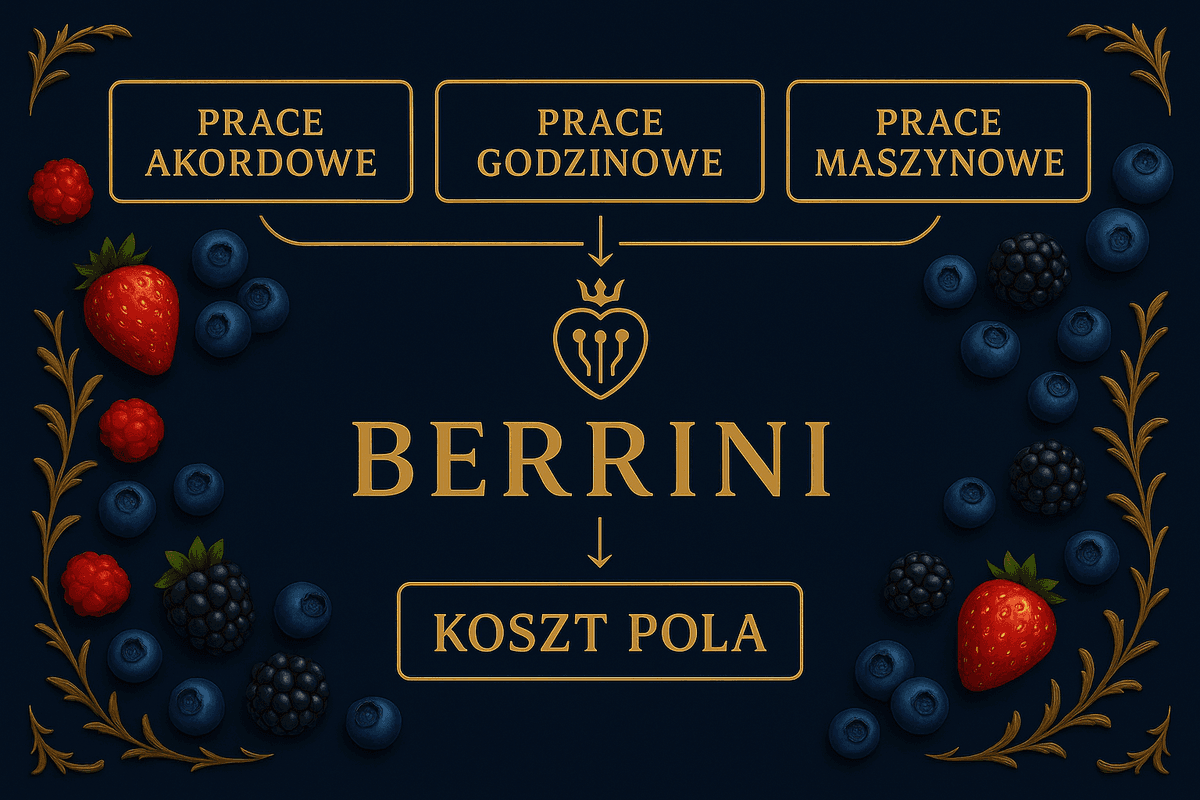 Berrini diagaram